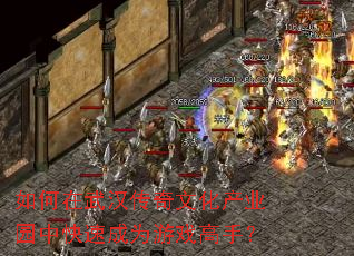如何在武汉传奇文化产业园中快速成为游戏高手? 如何在武汉传奇文化产业园中快速成为游戏高手?