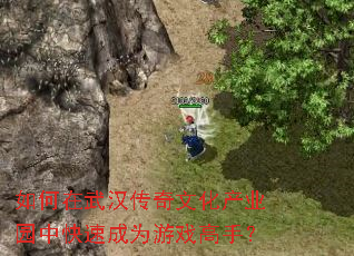 如何在武汉传奇文化产业园中快速成为游戏高手? 如何在武汉传奇文化产业园中快速成为游戏高手?