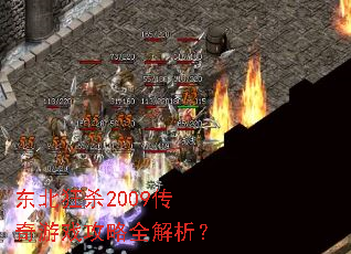 东北狂杀2009传奇游戏攻略全解析? 东北狂杀2009传奇游戏攻略全解析?