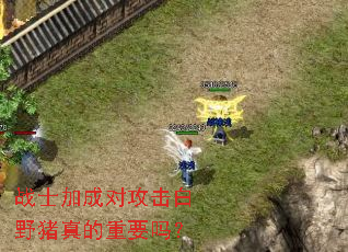 战士加成对攻击白野猪真的重要吗? 战士加成对攻击白野猪真的重要吗?