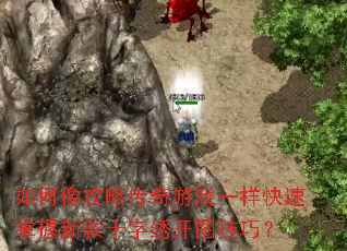 如何像攻略传奇游戏一样快速掌握新款十字绣开图技巧? 如何像攻略传奇游戏一样快速掌握新款十字绣开图技巧?