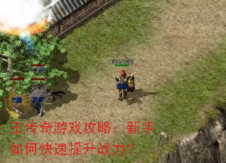 王传奇游戏攻略:新手如何快速提升战力? 王传奇游戏攻略:新手如何快速提升战力?