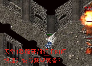 天堂1私服开服新手如何快速升级与获取装备? 天堂1私服开服新手如何快速升级与获取装备?