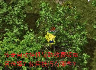 传奇自动挂机辅助收费版如何选择?使用技巧有哪些? 传奇自动挂机辅助收费版如何选择?使用技巧有哪些?