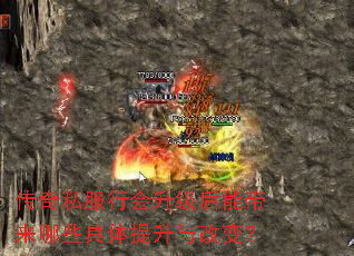 ����˽���л��������ܴ�����Щ����������ı䣿