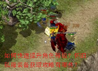 如何快速提升角色等级?怀旧私服装备获取攻略有哪些? 如何快速提升角色等级?怀旧私服装备获取攻略有哪些?