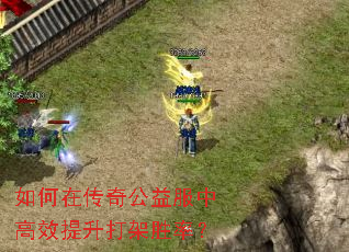 ����ڴ��湫����и�Ч�������ʤ�ʣ�