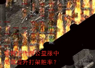 ����ڴ��湫����и�Ч�������ʤ�ʣ�
