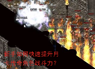 新手如何快速提升月卡传奇角色战斗力? 新手如何快速提升月卡传奇角色战斗力?