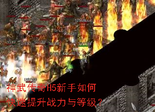 ���䴫��H5������ο�������ս����ȼ���