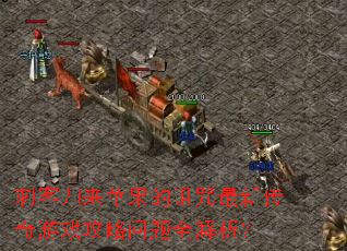 刺客归来苹果的诅咒最新传奇游戏攻略问题全解析? 刺客归来苹果的诅咒最新传奇游戏攻略问题全解析?